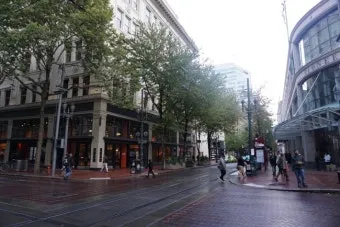 포틀랜드 쇼핑 가이드 놓치면 후회할 아이템 총정리로 체크_25