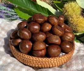 한국의 떡 종류 잣구리-밤