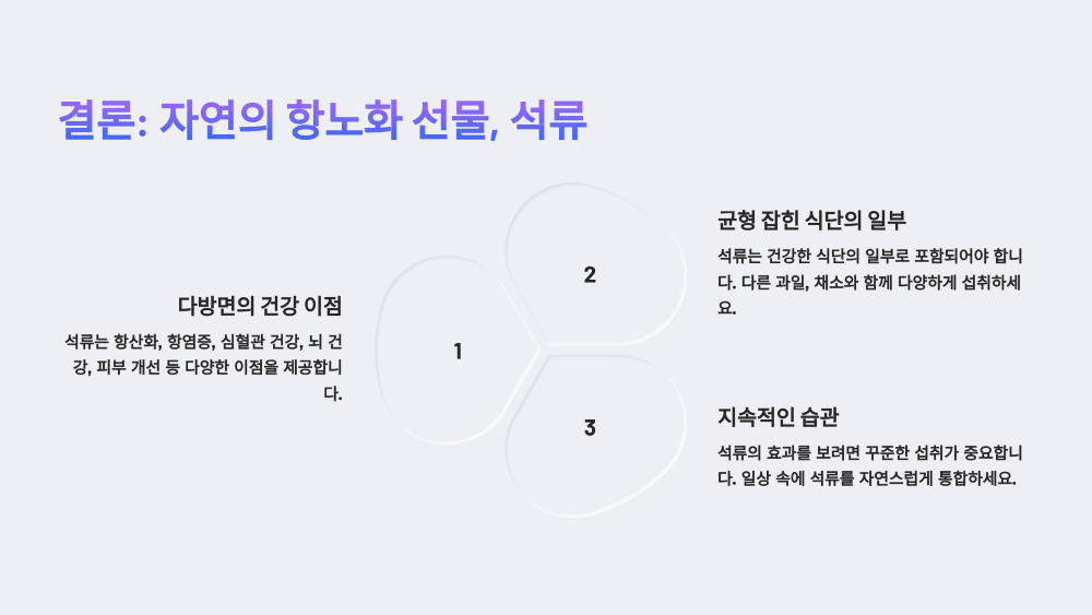 결론: 자연의 항노화 선물, 석류