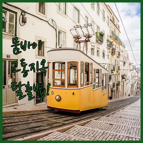 악명 높은 뭄바이 교통 체증 피하는 ..