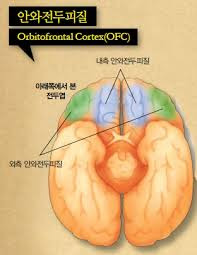 전두엽