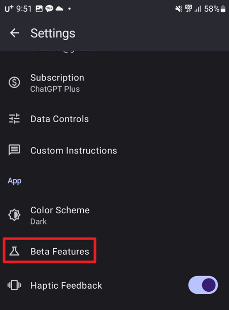 Beta Features 클릭