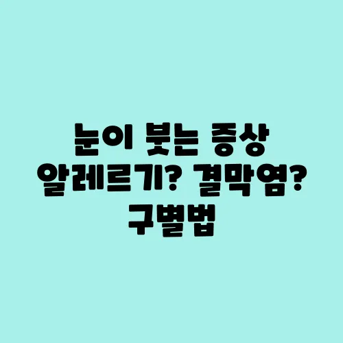 눈이 붓는 증상 알레르기? 결막염? 구별법