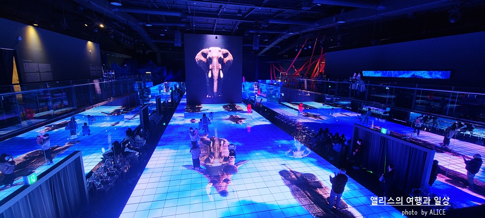 해운대 뮤지엄원 치유의기술, 부산 실내 가볼만한곳, 부산 전시 + 33% 할인예약방법