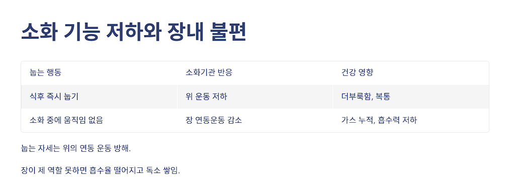 소화 기능 저하와 장내 불편