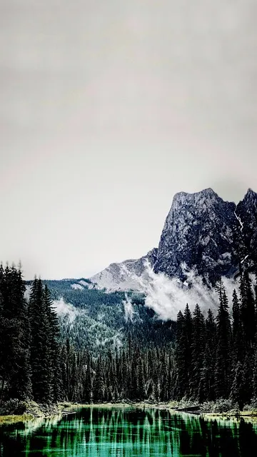 추신수 은퇴 연봉 가족 아내 나이 재산_3