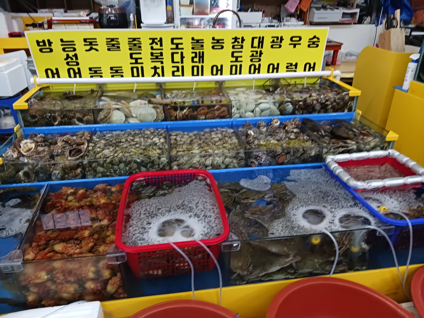 삽교호전망대종합어시장