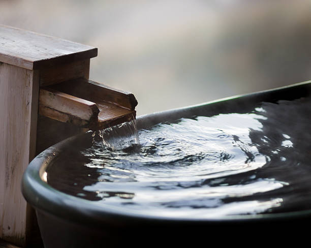 도쿄 온천의 다양한 종류