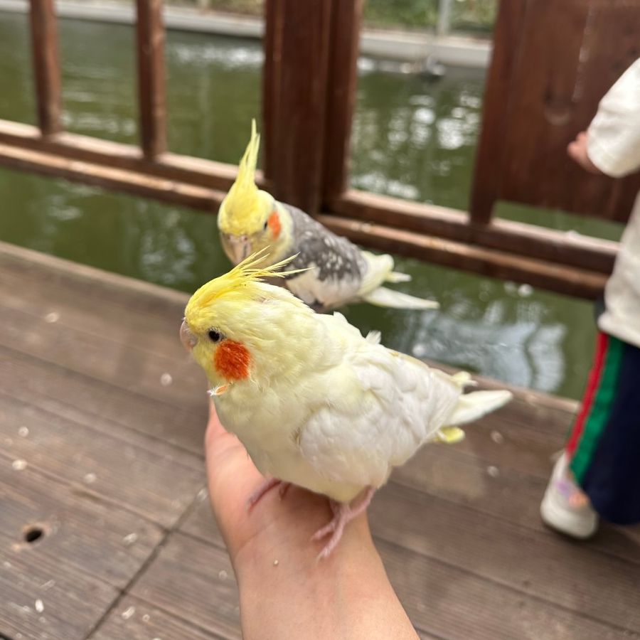 경주 버드파크