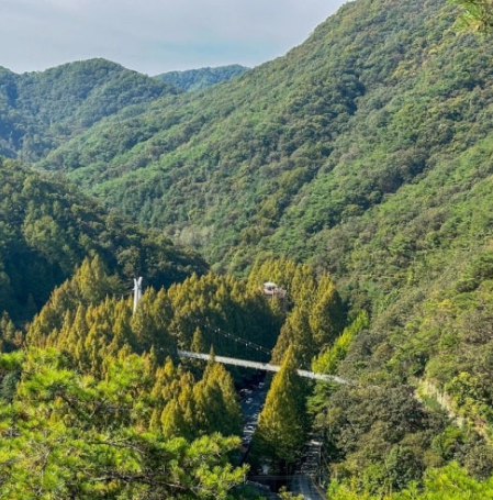 대전 장태산 자연휴양림