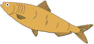 멸치효능&amp;#44;부작용