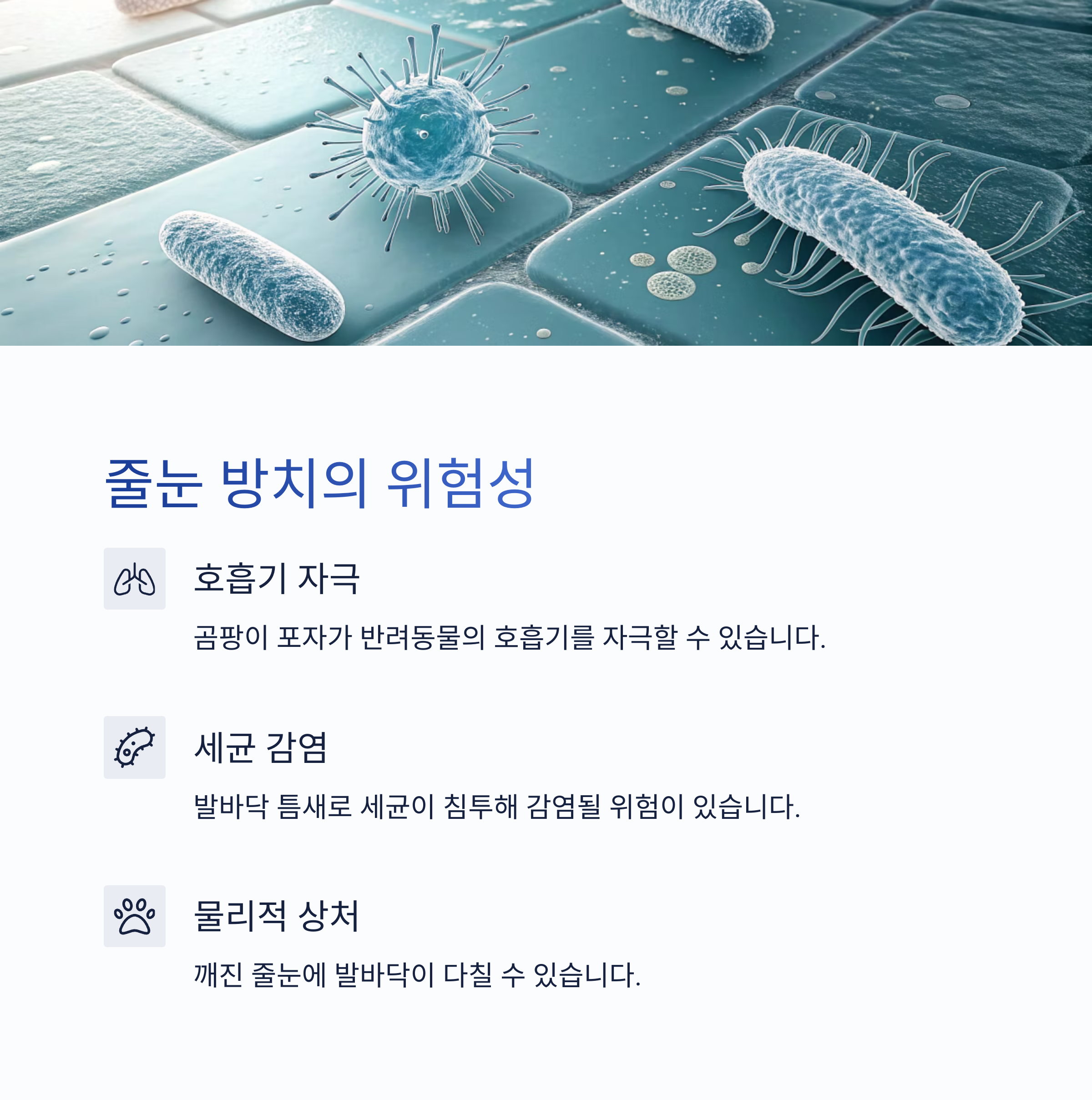 반려동물 있는 집, 줄눈 관리 꼭 필요한 이유