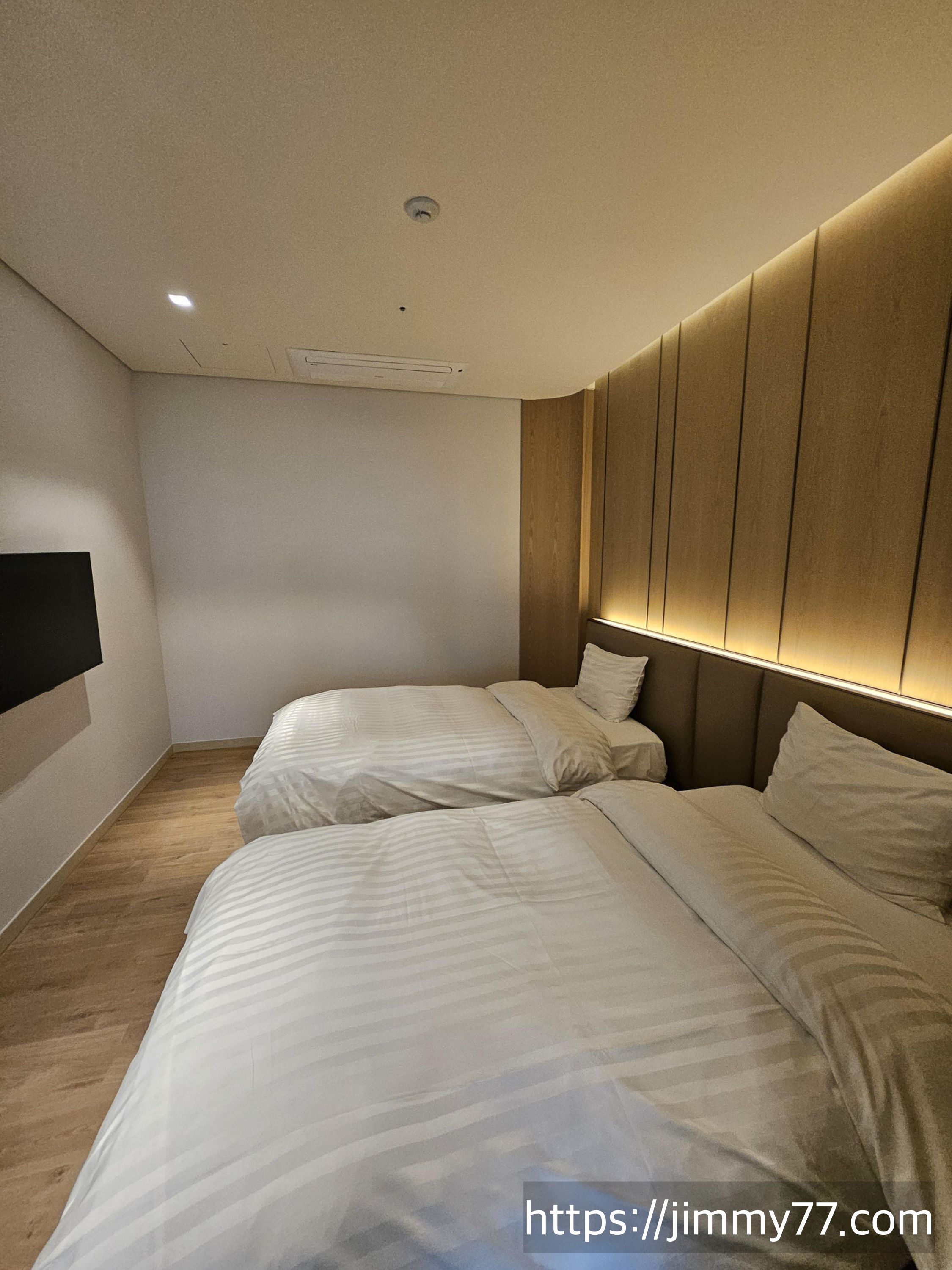 속초 델피노 소노펠리체