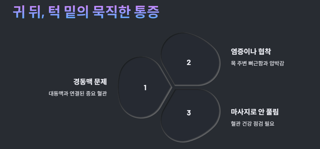 귀 뒤, 턱 밑의 묵직한 통증 정체