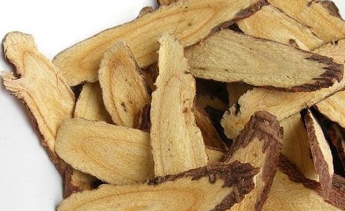 위점막 손상 속쓰림에 좋은 음식(건강기능식품 원료)