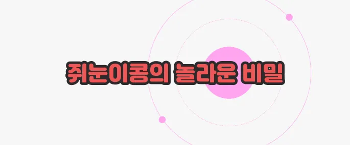 쥐눈이콩 효능 지금부터 들여다보죠