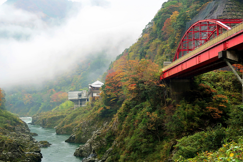 도쿠시마 여행 가이드! 필수 코스 & 맛집 추천