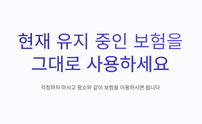 보험-유지