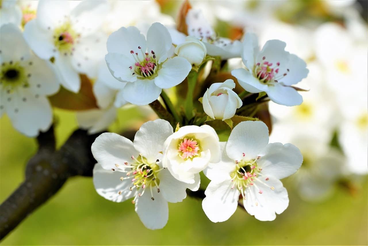 40대 후반 처짐형 얼굴, 울쎄라만으로는 부족할까?