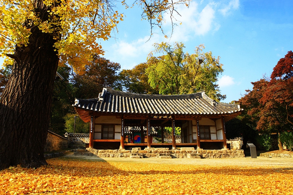 정읍 가볼만한곳 베스트10