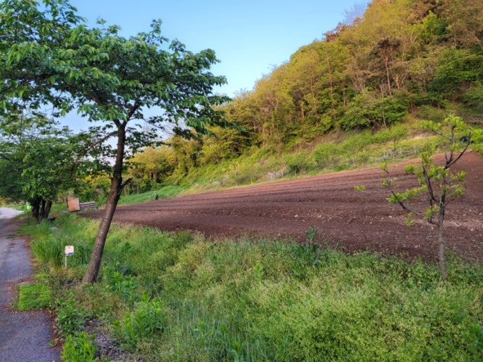 서리태 심기전 밭 준비