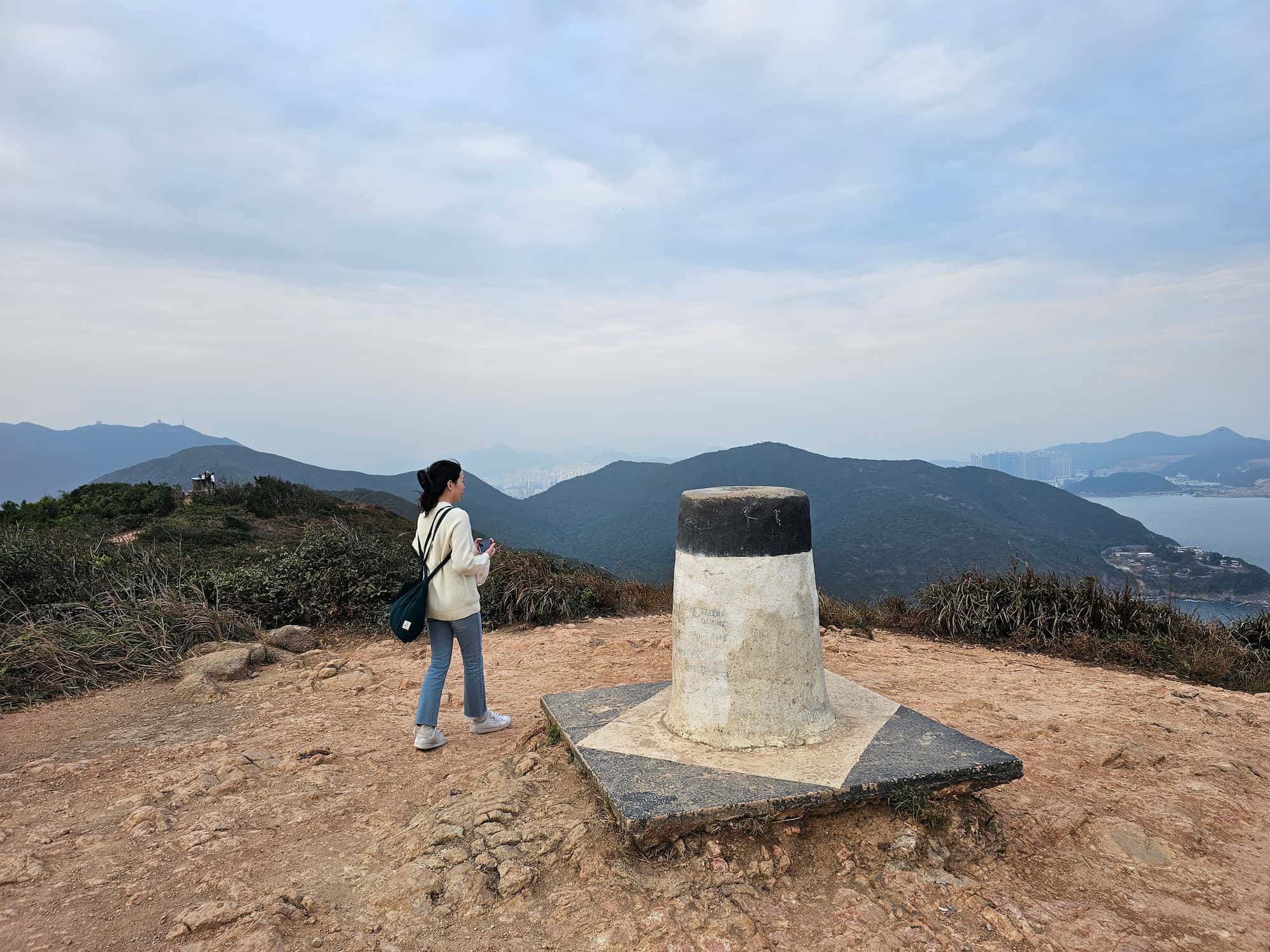 드래곤즈 백 후기