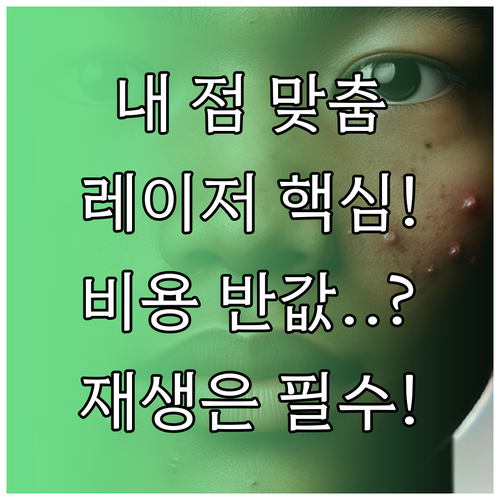 내 점에 맞는 레이저 선택과 총 비용..