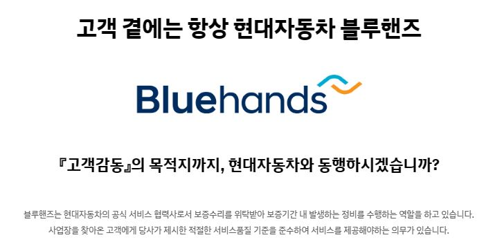 블루핸즈 - 가맹사업 안내