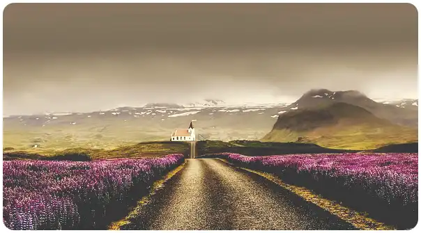 2024 다니엘 기도회 (홈페이지 생방송 보기&amp;#44; 강사 명단&amp;#44; 시간 일정)