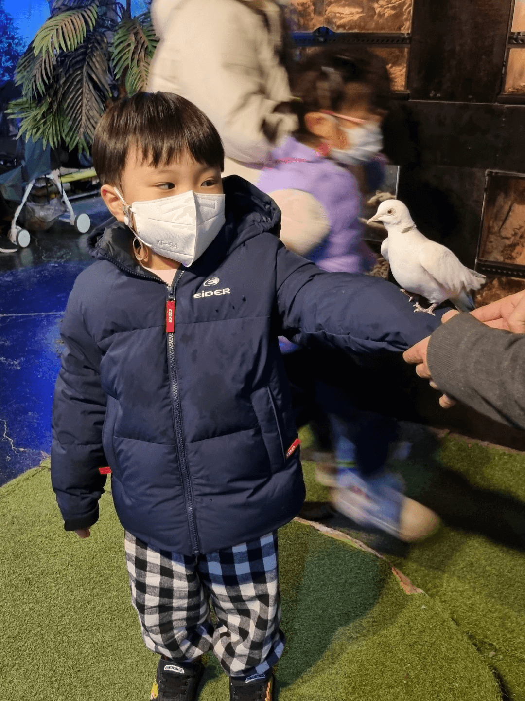 동물체험4