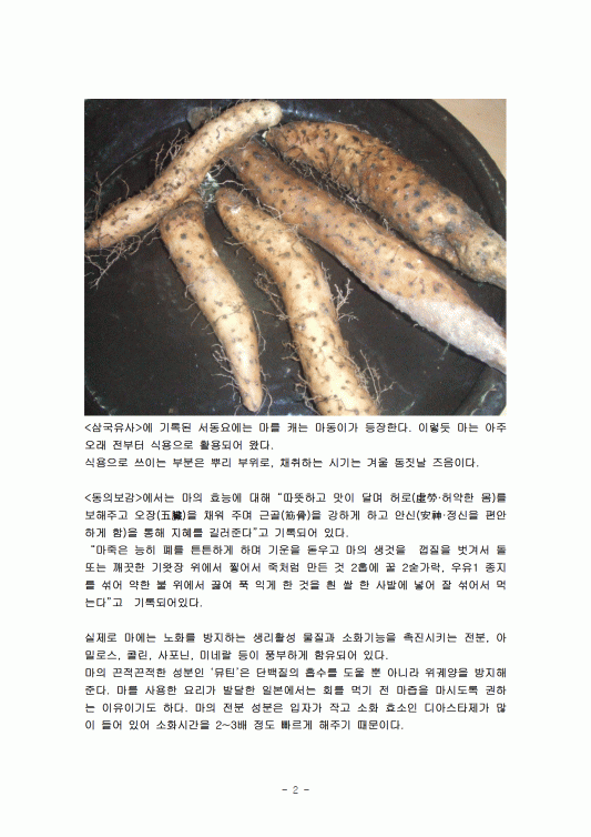 레포트 월드