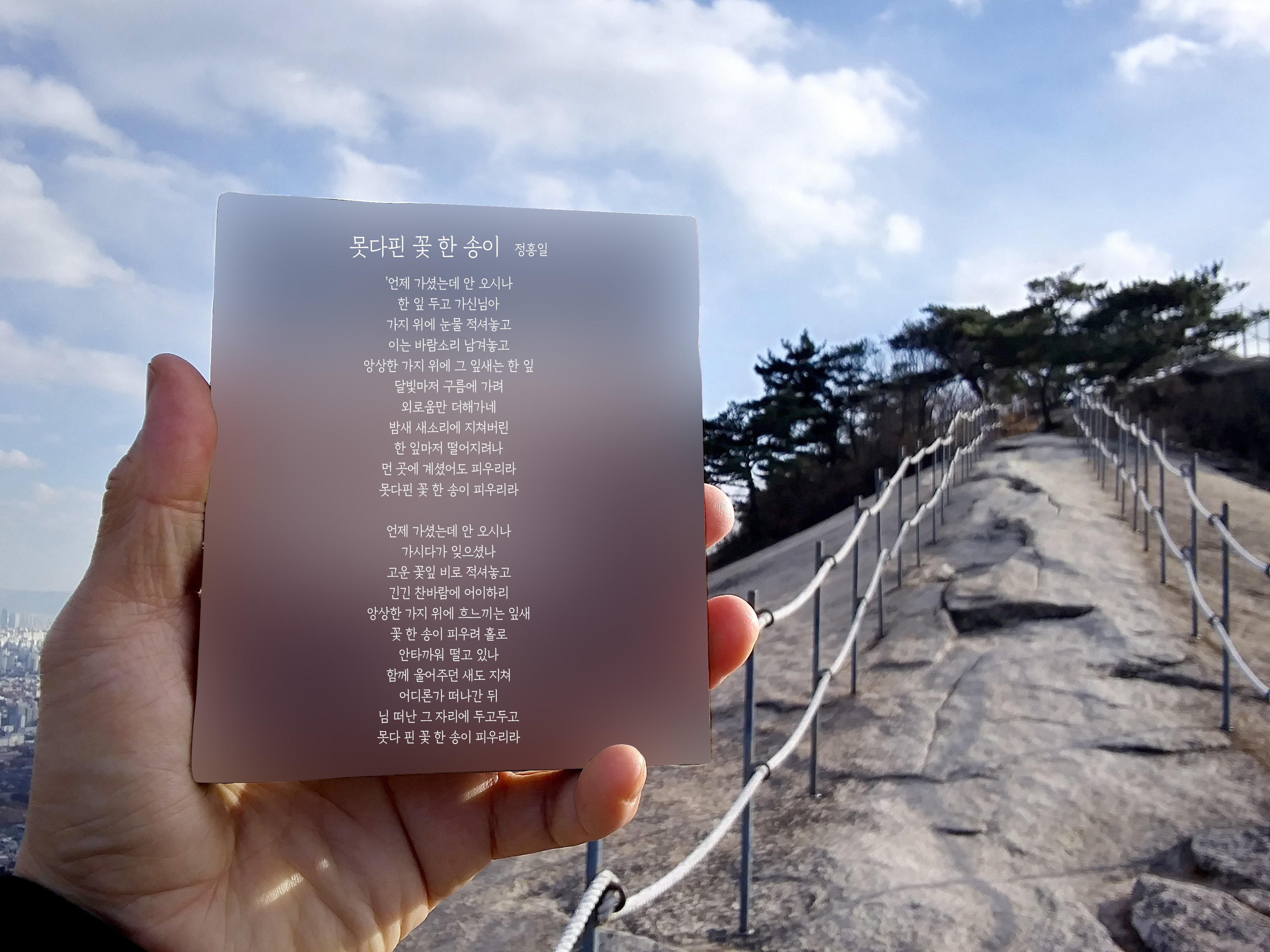 정홍일의 못다핀 꽃 한송이
