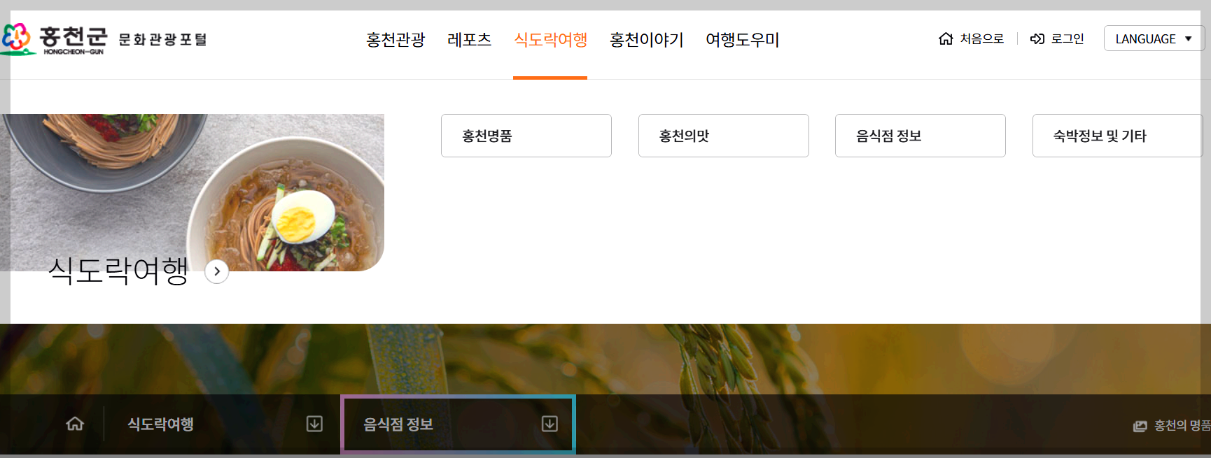 홍천강 별빛음악 맥주축제