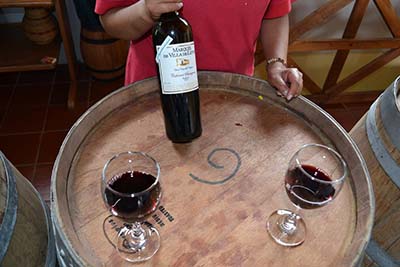 까베르네 소비뇽 (Cabernet Sauvignon)