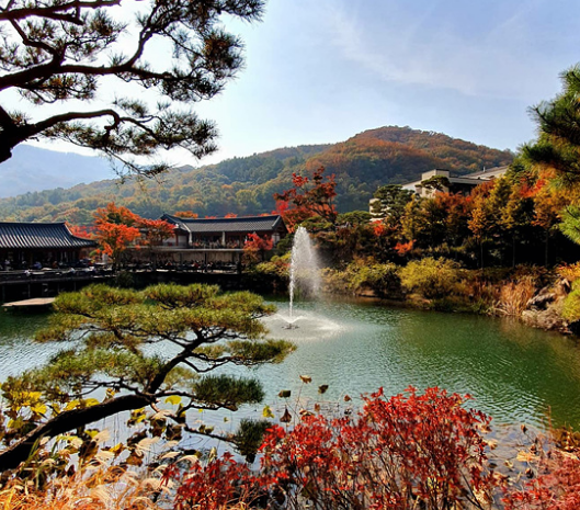 기초수급자 자격 요건&amp;#44; 신청 방법