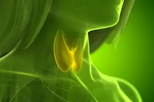 갑상선암-수술비용