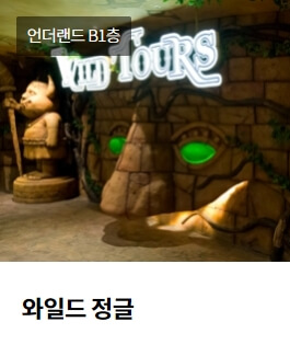 롯데월드 매직패스 가격 및 구매 방법 총정리