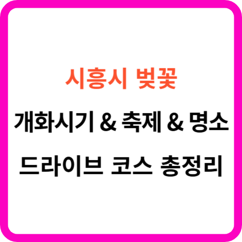 시흥시 벚꽃 개화시기 축제 명소 드라이브 코스 썸네일