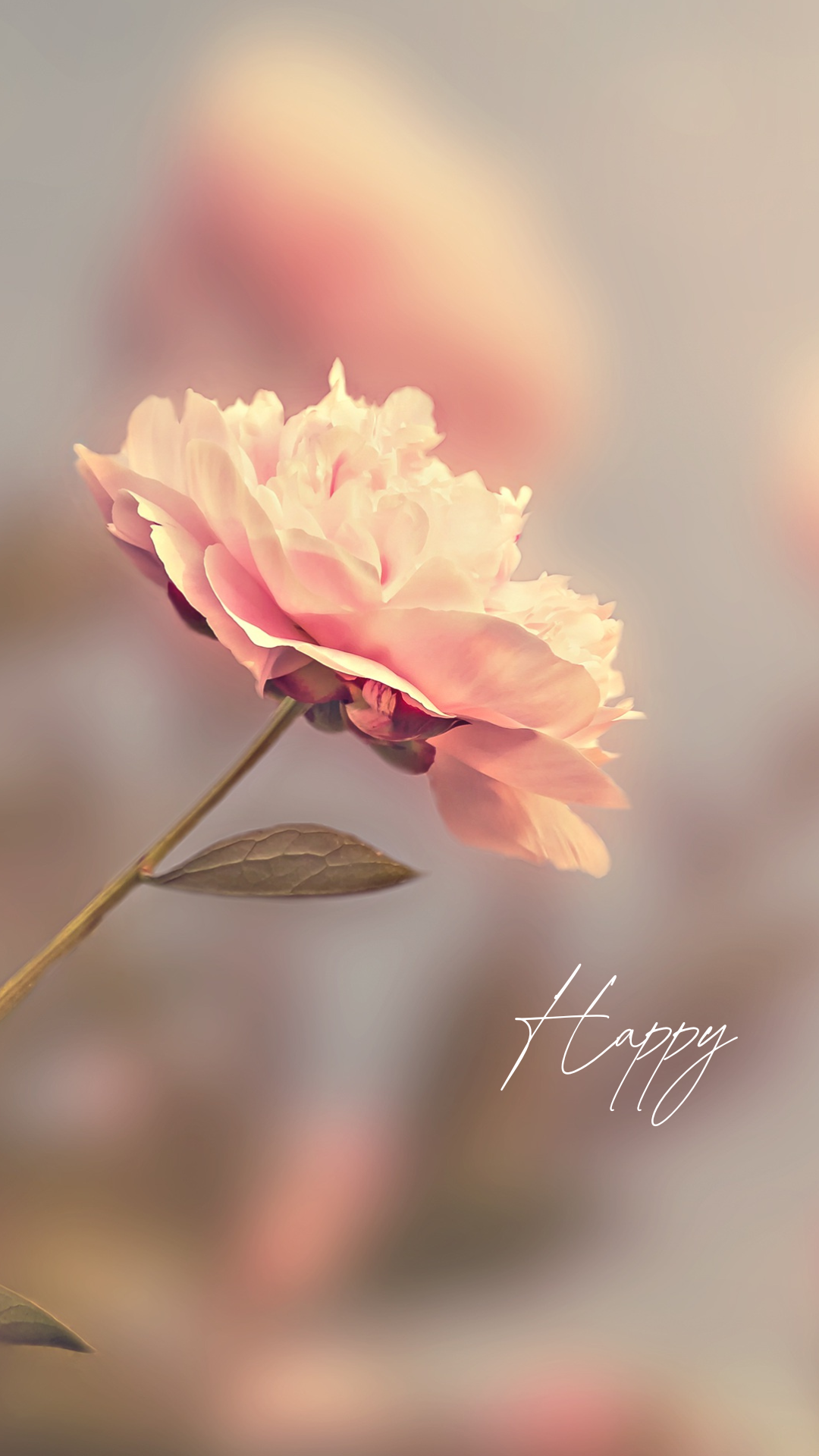 아이폰 배경화면 심플한 바탕화면 이미지 모음