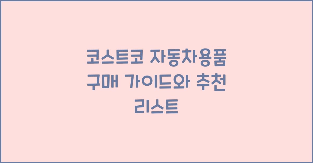 코스트코 자동차용품