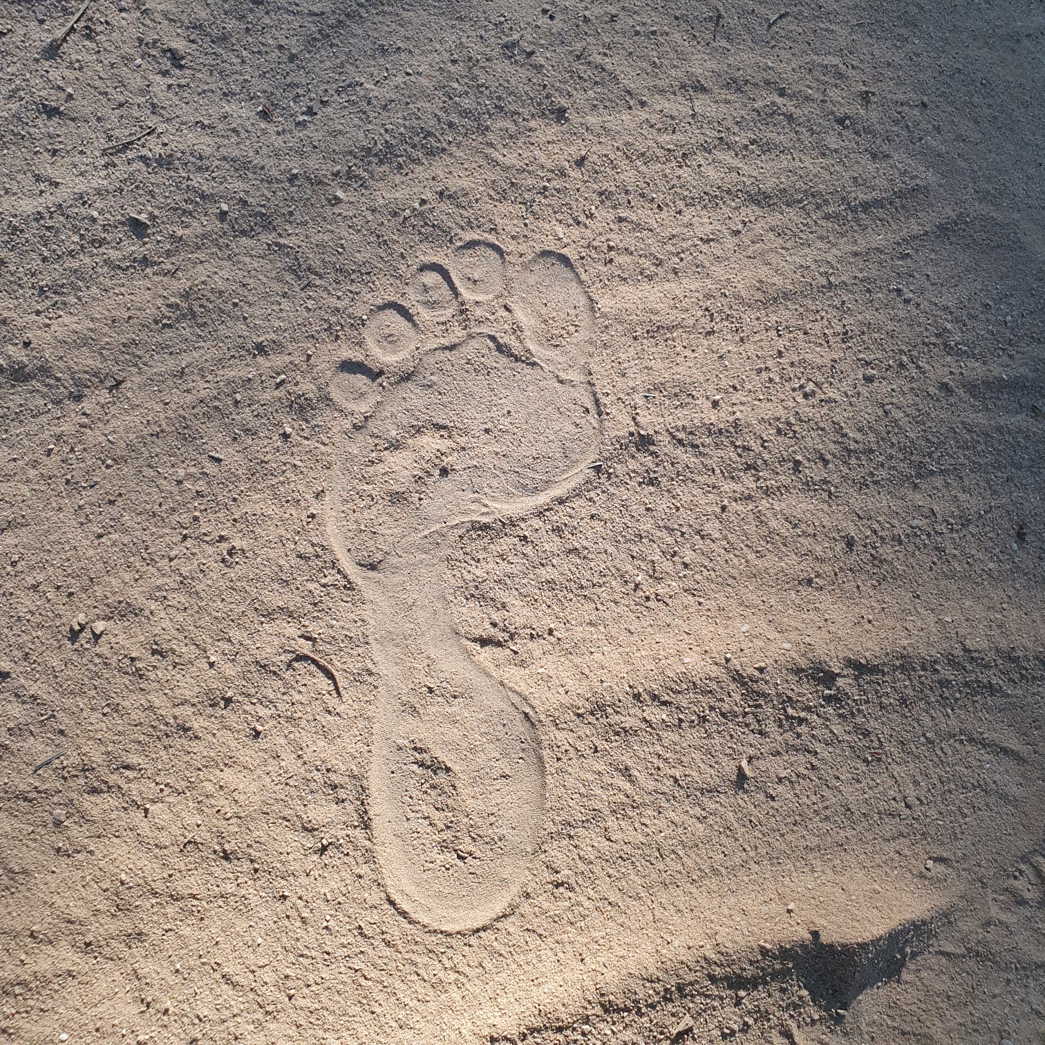 맨발로 건강을 지키는 것은 정말로 좋아요