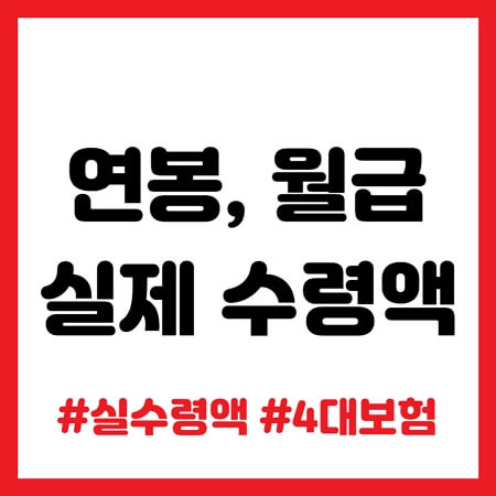 연봉 실수령액