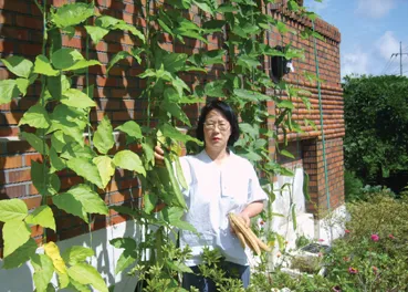 작두콩 재배 지지대 설치 덩굴 유인 건조 보관_2