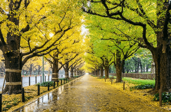 2023λ
λ¨νμκΈ° μμΈ‘μ§λ