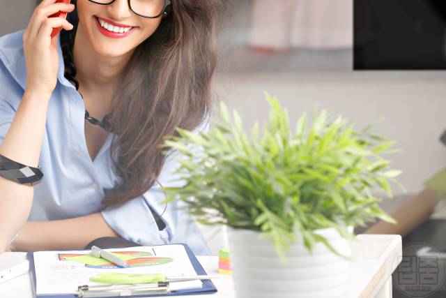 공기정화식물 키우기 효과 종류 추천