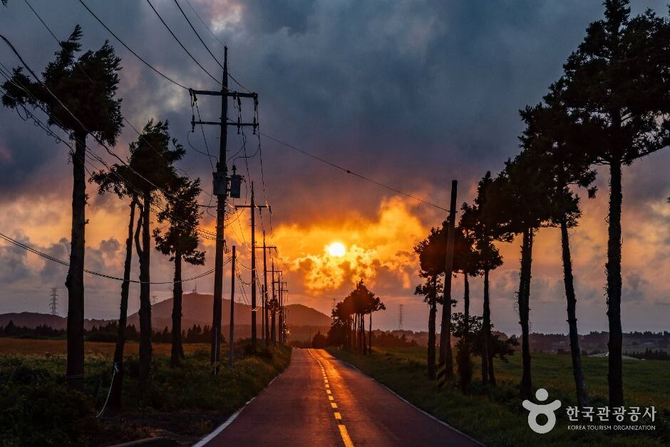 30대 혼자 가기 좋은 여행 추천 베스트 7