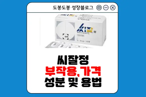 씨잘정 안내 이미지