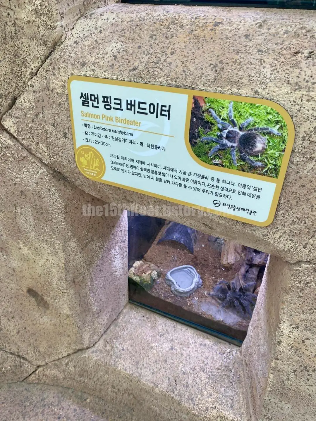 경남 의령 &amp;#39;의령 곤충생태학습관&amp;#39; (1층 &amp;#39;사막관&amp;#39;&amp;#44; &amp;#39;열대관&amp;#39;)