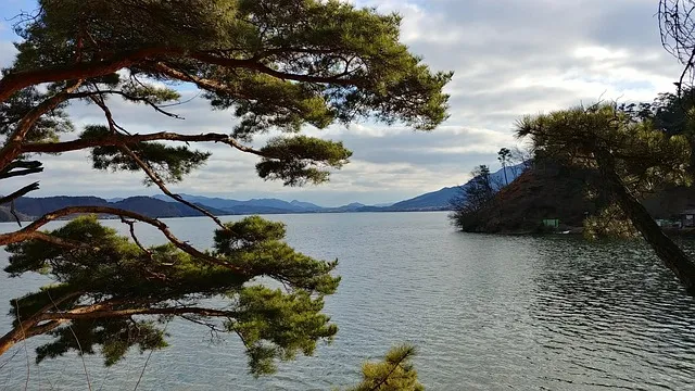 봄꽃 여행 성지 충남 서산 명소 BEST5_3