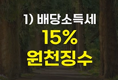 미국주식-배당소득세